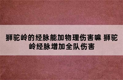 狮驼岭的经脉能加物理伤害嘛 狮驼岭经脉增加全队伤害